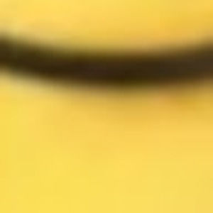 Meet your Posher, Máximo